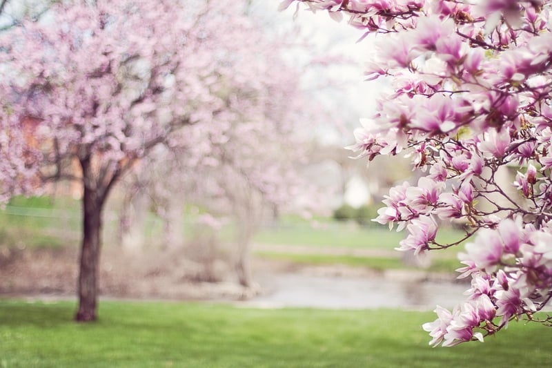 Botanical Beauty