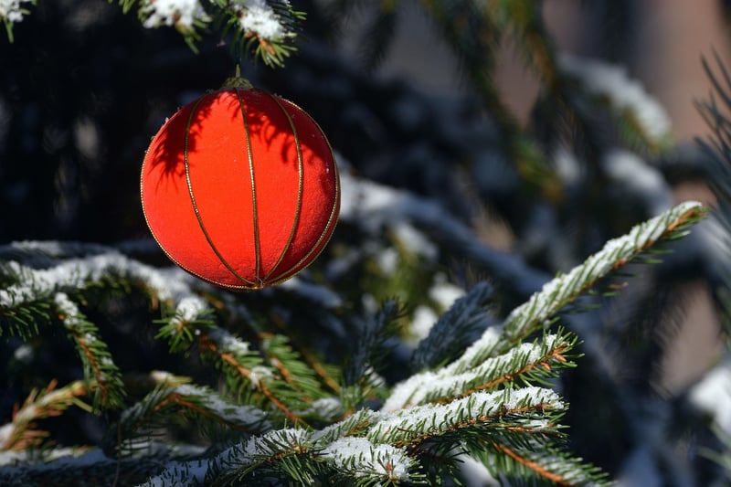 Forest Ornaments